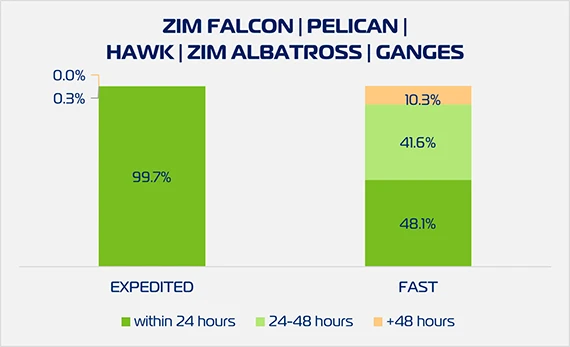 ZX2 Cargo Pickup W1526