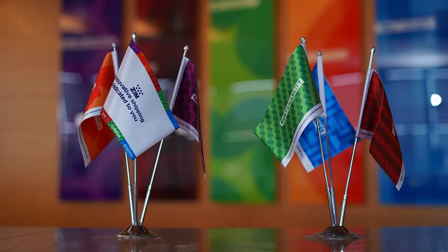 Values Flags 878X494