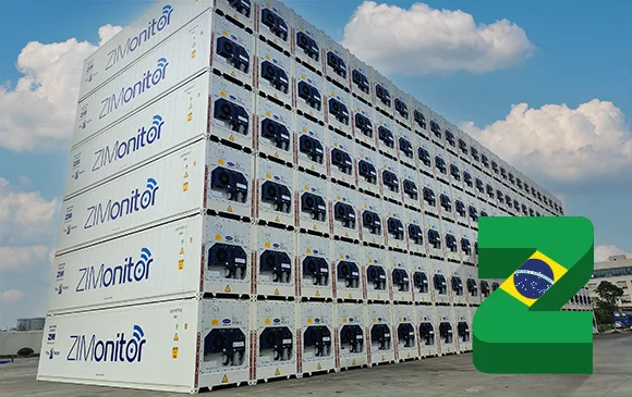 What's Driving Brazil’s Global Protein Supply?