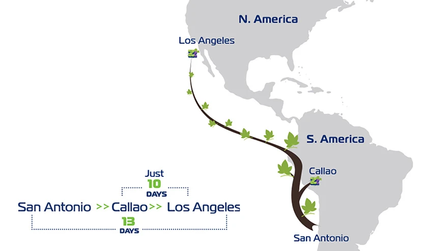 92191 48 California Grape Express Map 878X494