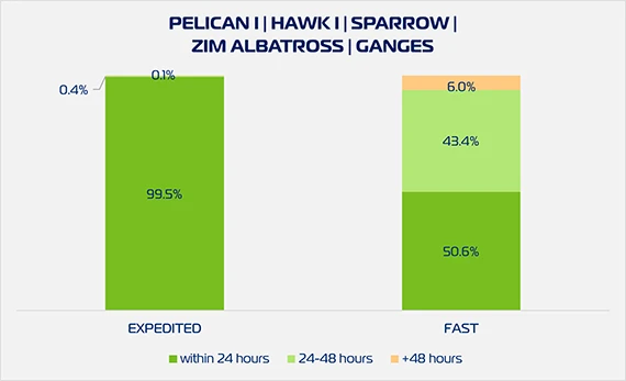 ZX2 Cargo Pickup W08